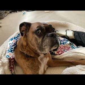 Meet your Posher, Maureen